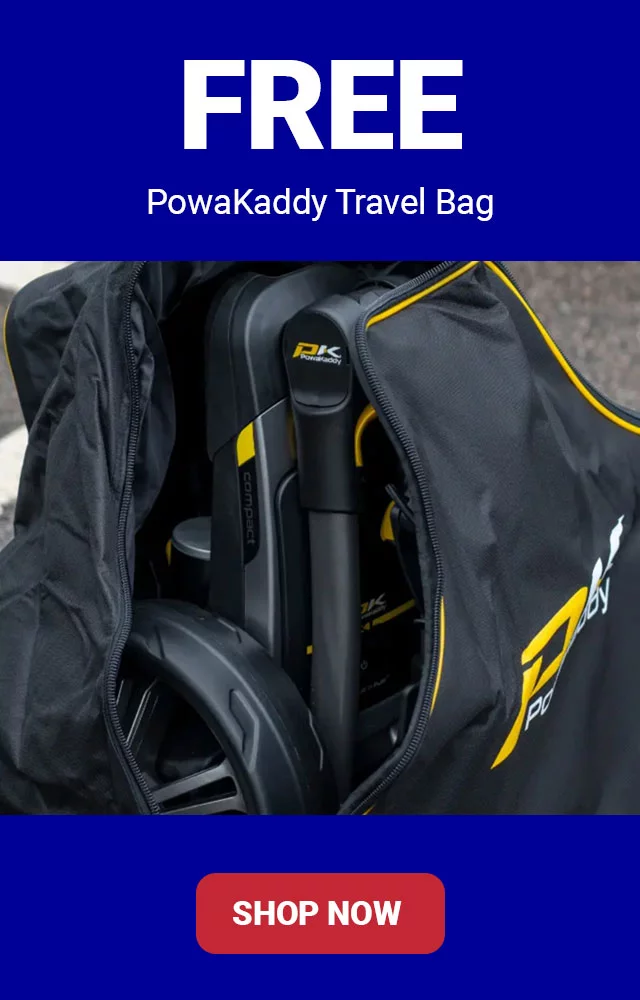 Free Travel Bag