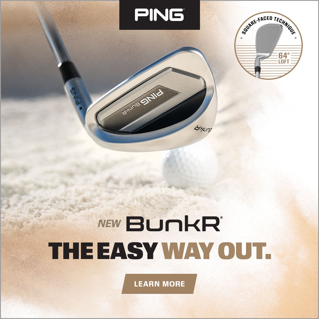 Ping Bunkr Panel